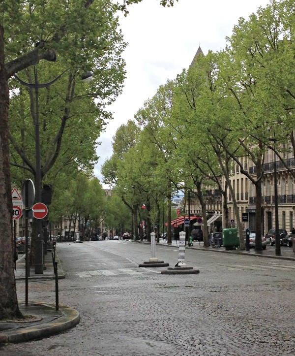 Rainy Paris street scene