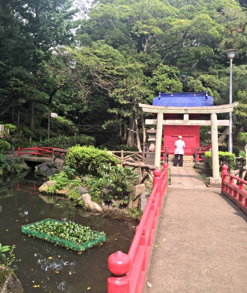 park and shrine in Yanaka area