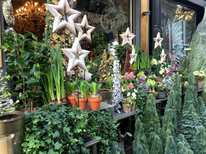 holiday greenery in Paris