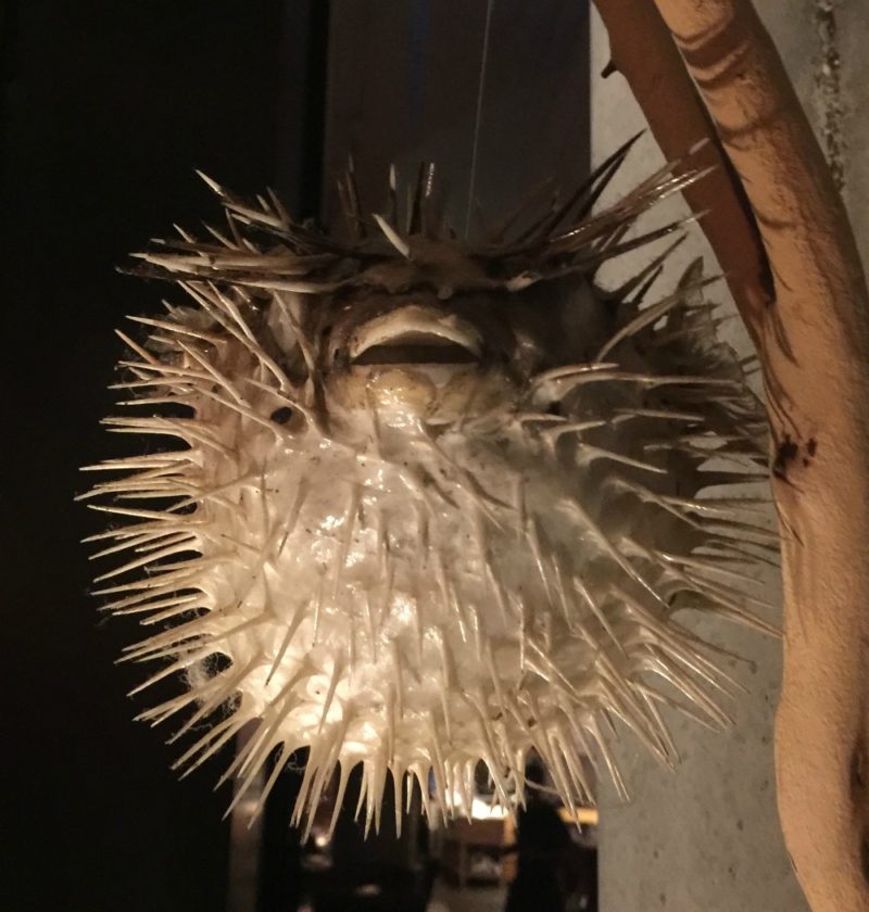 puffer fish tree ornament