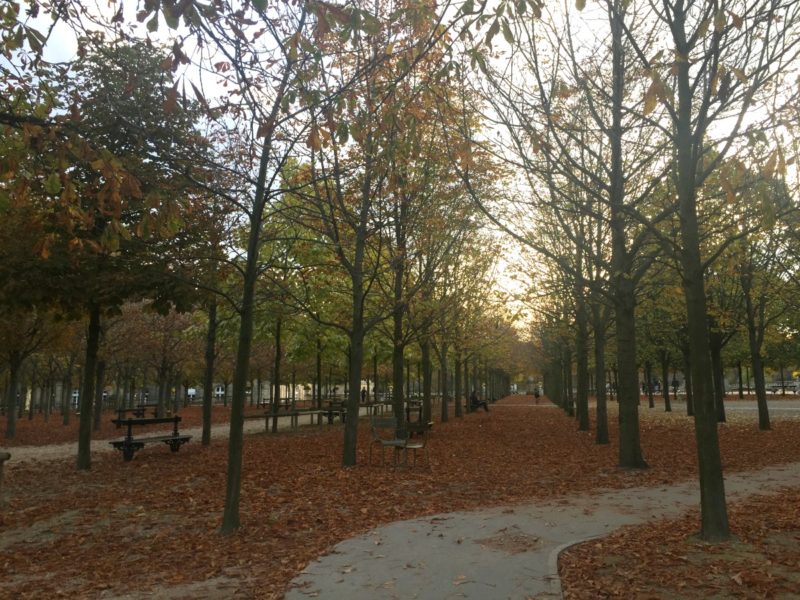 early morning in jardin du Luxemberoug Paris. Details at une femme d'un certain age.