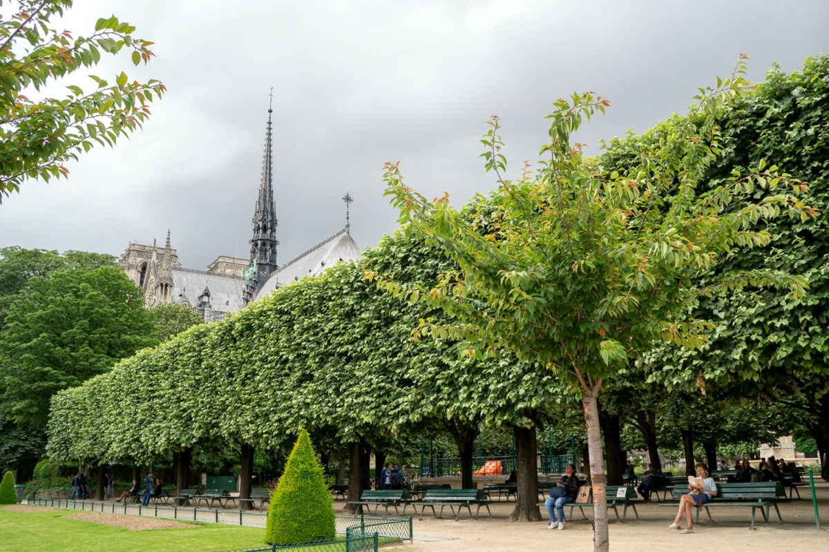 Park and trees behind Notre Dame Cathedral in Paris. Details at une femme d'un certain age.