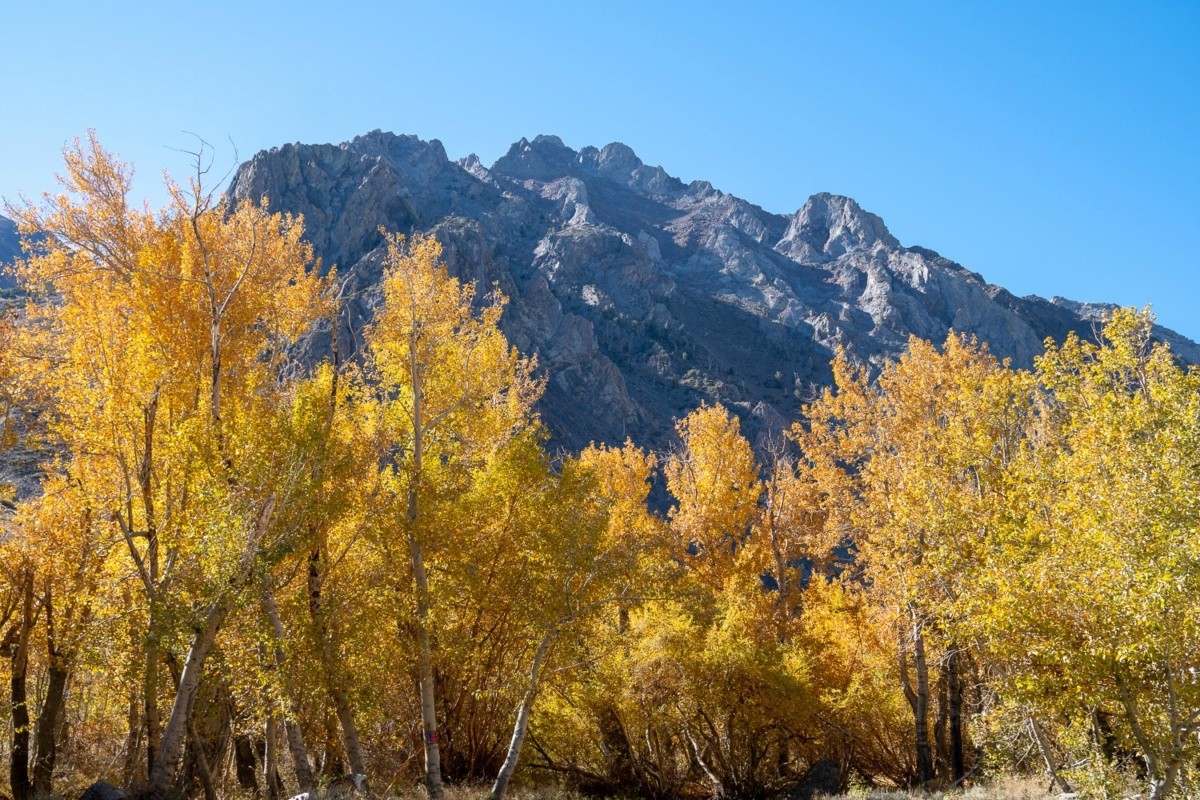 Eastern Sierras in fall. Details at une femme d'un certain age.