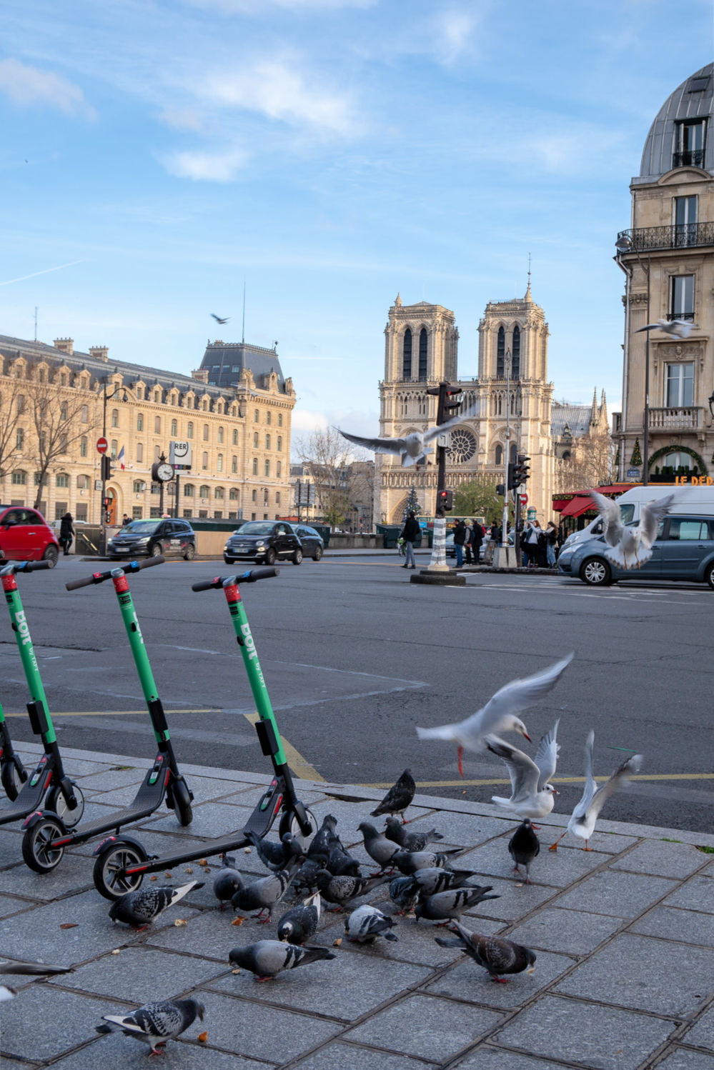 Electric scooters and pigeons near Saint Michel in Paris, with Notre Dame in background. Details at une femme d'un certain age.