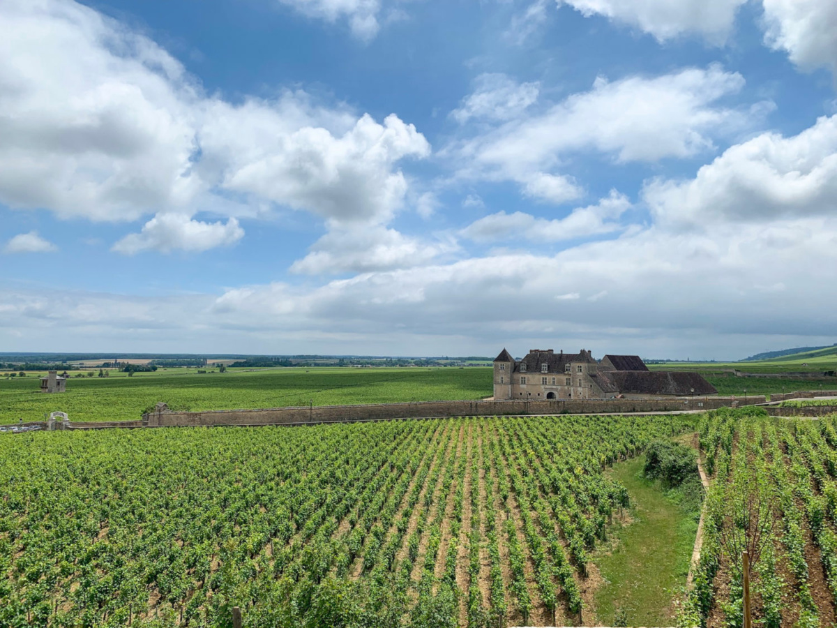 Overlooking Clos Vougeot vineyard and chateau in Bourgogne France. Details at une femme d'un certain age.