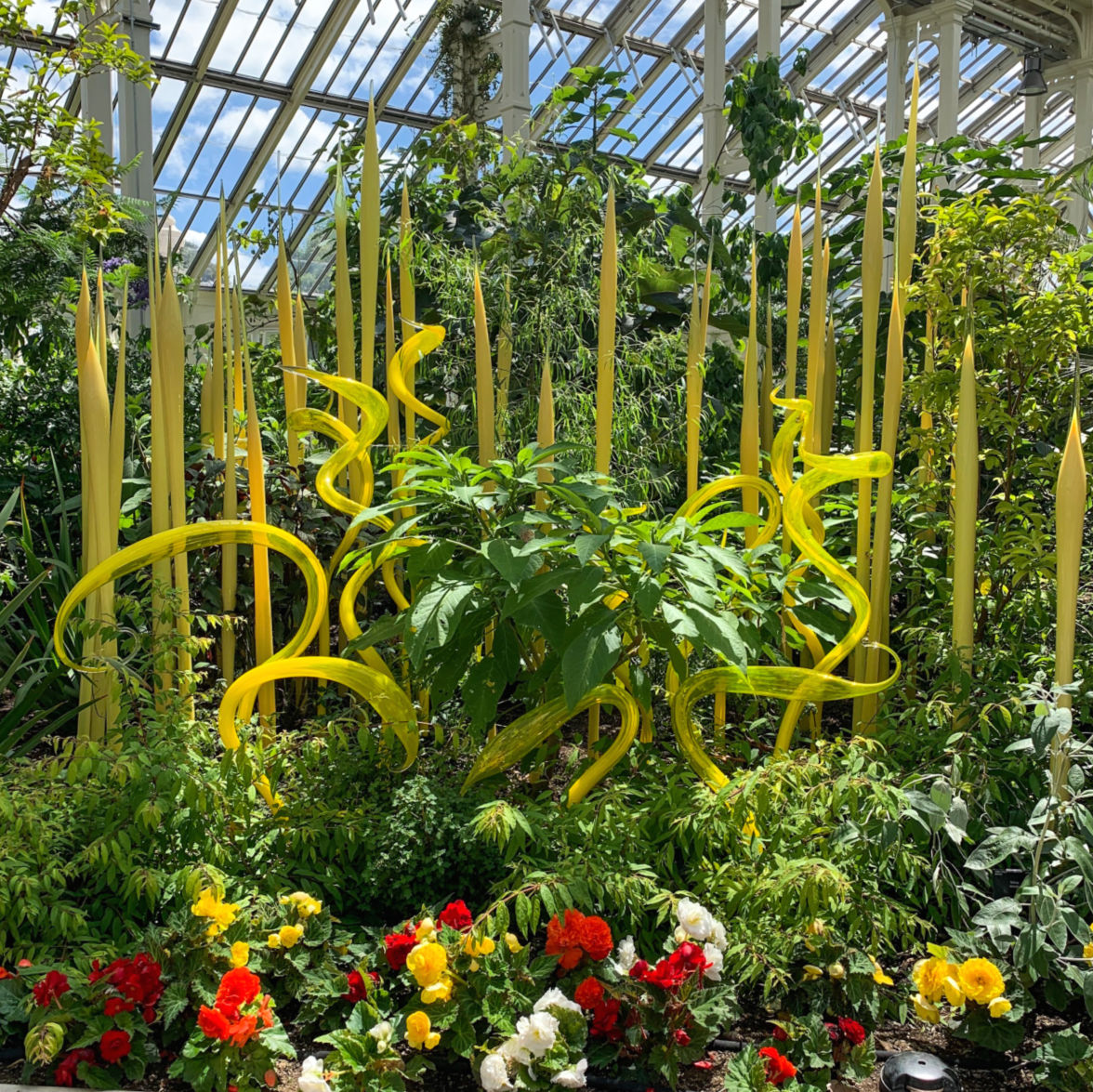 Chihuly sculpture in the Temperate House at Kew Gardens. Details at une femme d'un certain age.