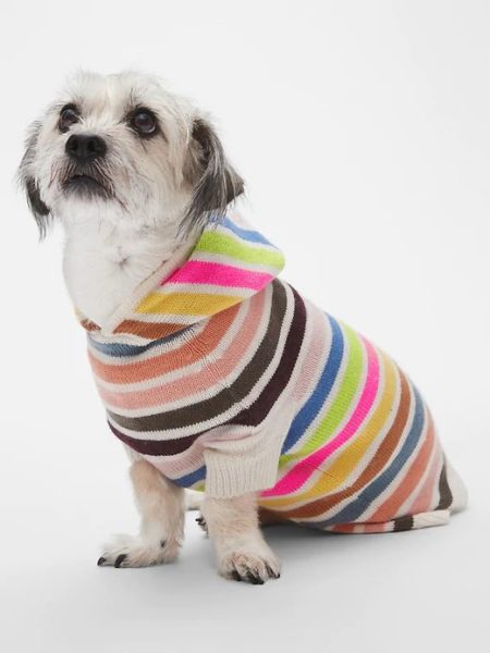 Gap striped dog sweater. Details at une femme d'un certain age.