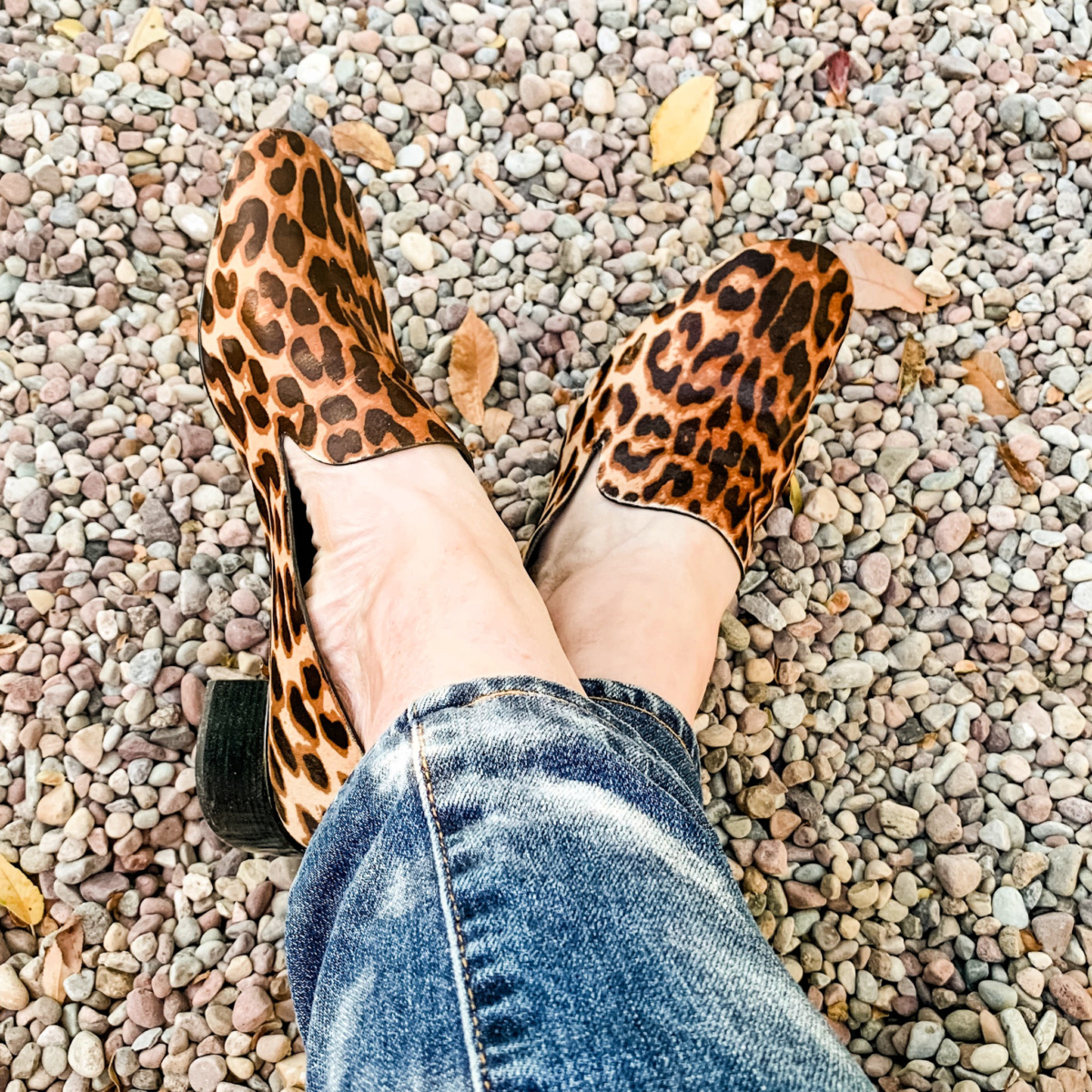 Detail: Susan B wears Mercedes Castillo leopard print loafers. Details at une femme d'un certain age.