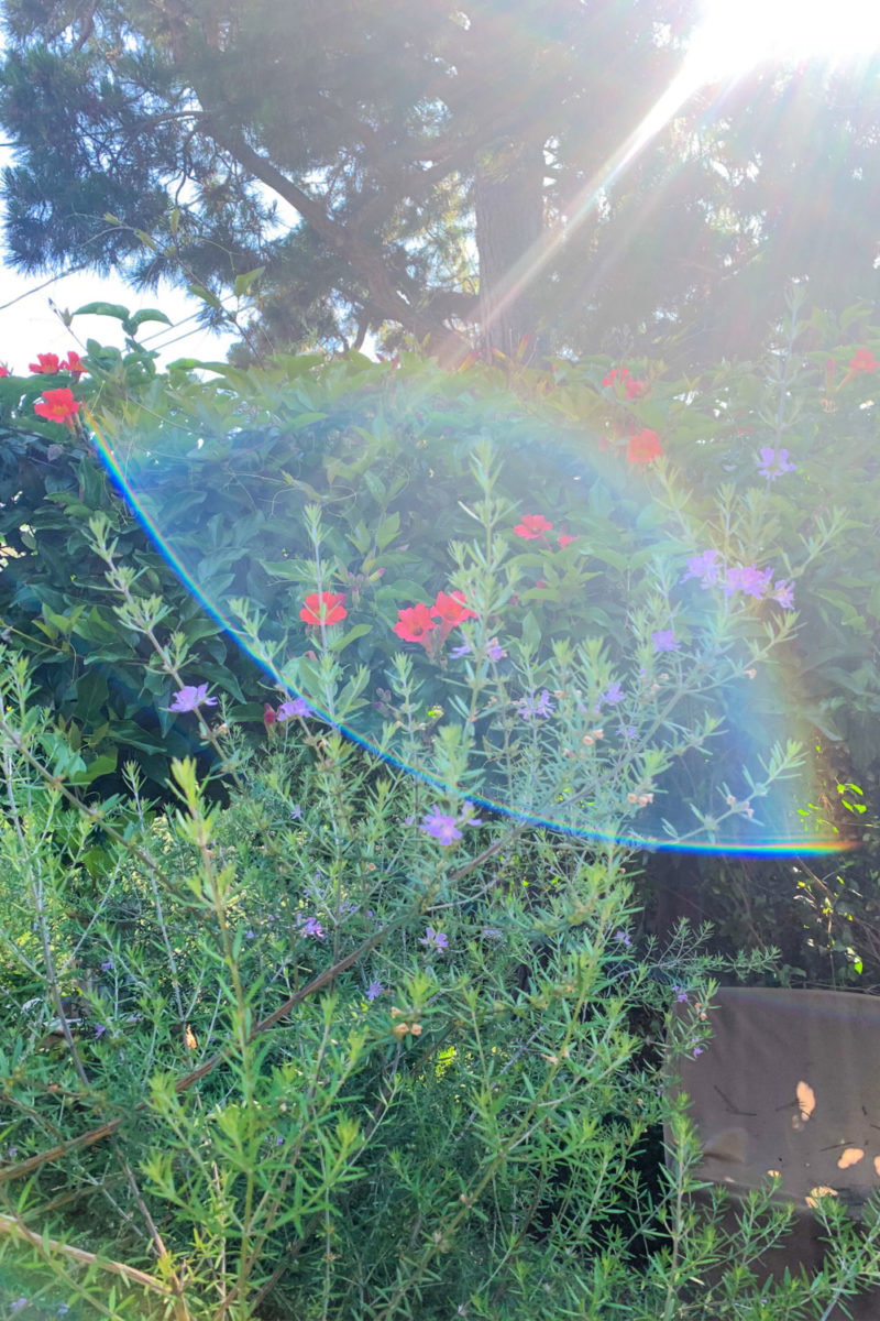 Morning light in the garden. Details at une femme d'un certain age.