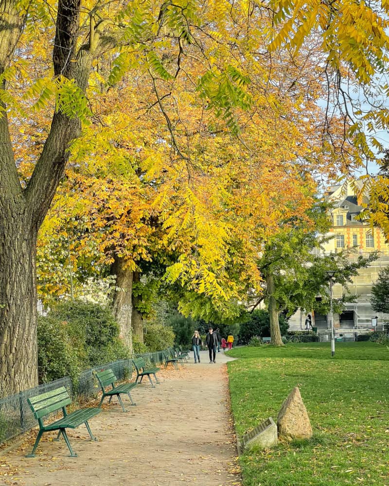 Ile de la Cité Paris in Autumn. Green benches, golden leaves.