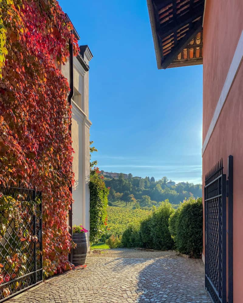 Red autumn foliage and vineyards in background, Piedmont, Italy.