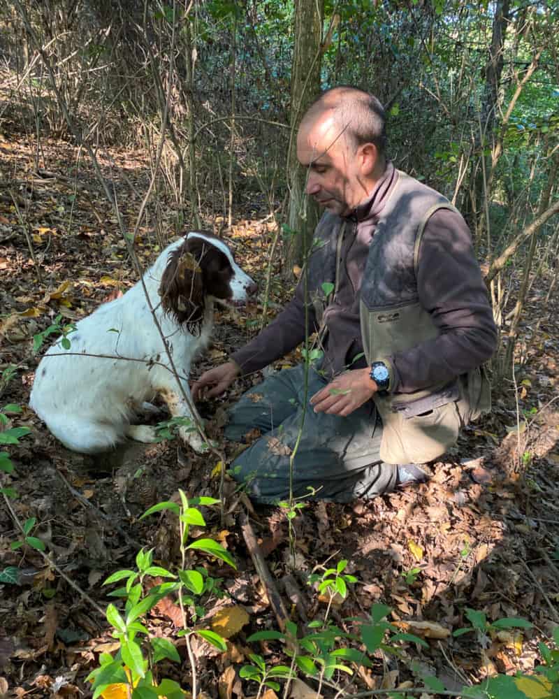 Kelly the spaniel and Max the truffle hunter in the woods, Piedmont Italy.