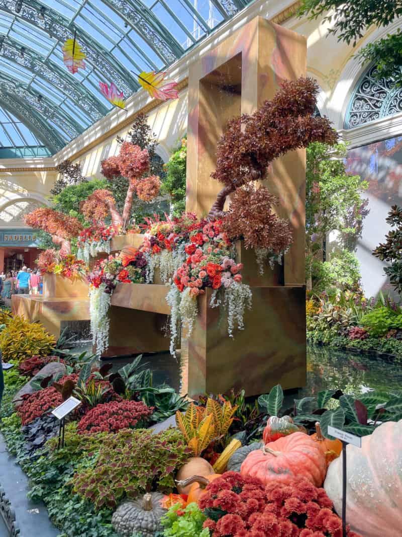 Fall decorations at Bellagio Conservatory in Las Vegas: fountain and floral displays.