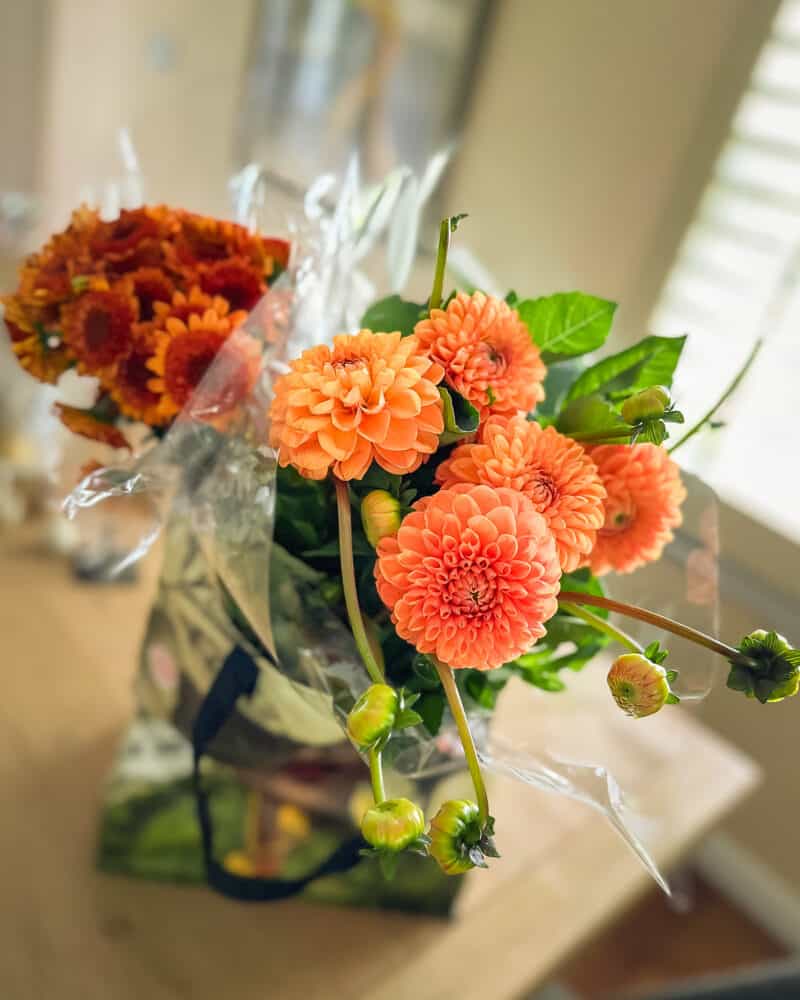 This week's flowers from Trader Joe's: dahlias and mums