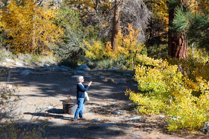 Susan B. takes photos of fall foliage in the Eastern Sierras.