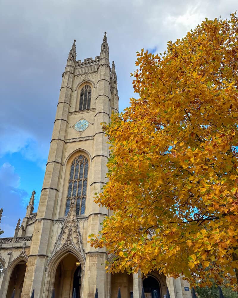 Church steeple and autumn foliage in Chelsea, London.