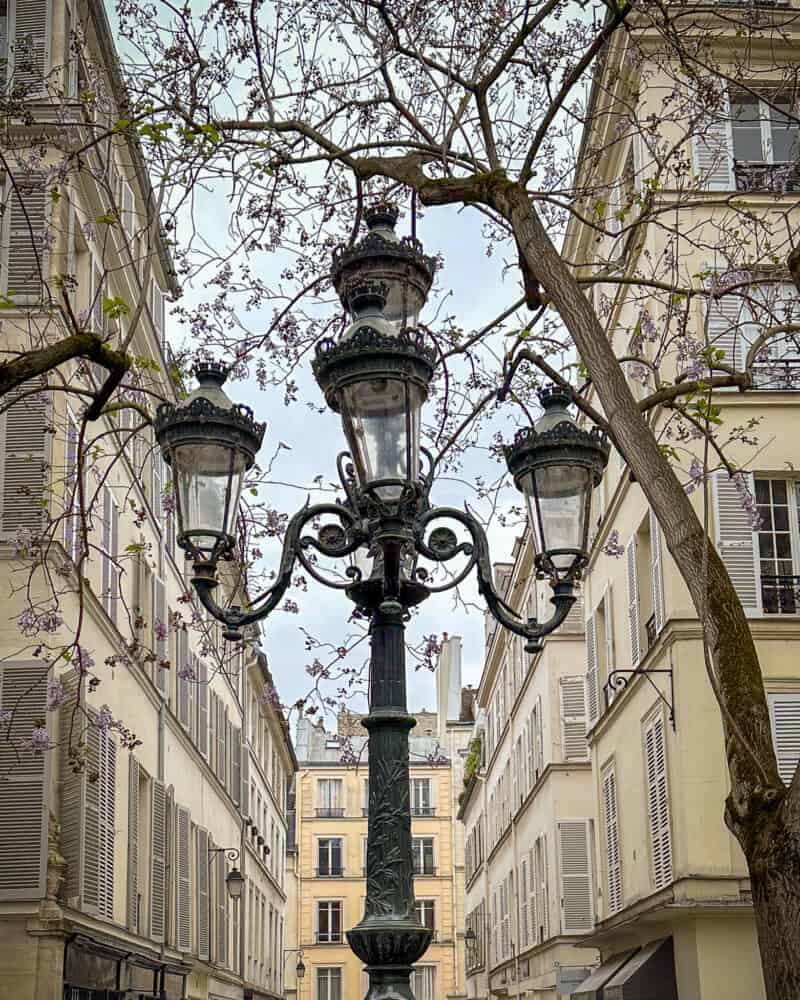 Streetlamp and early spring blossoms in Place Furstemberg in Paris
