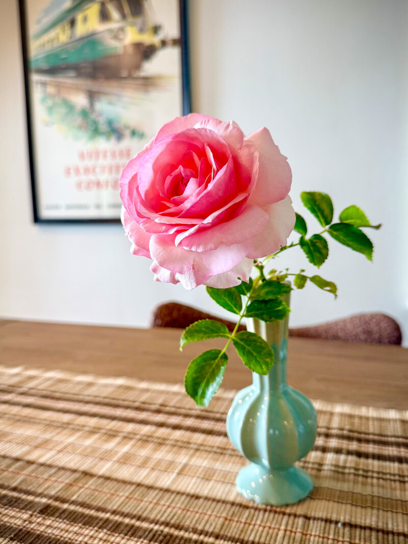 A pink rose in a green vase sits on a table with a vintage train travel poster on the wall in the background.