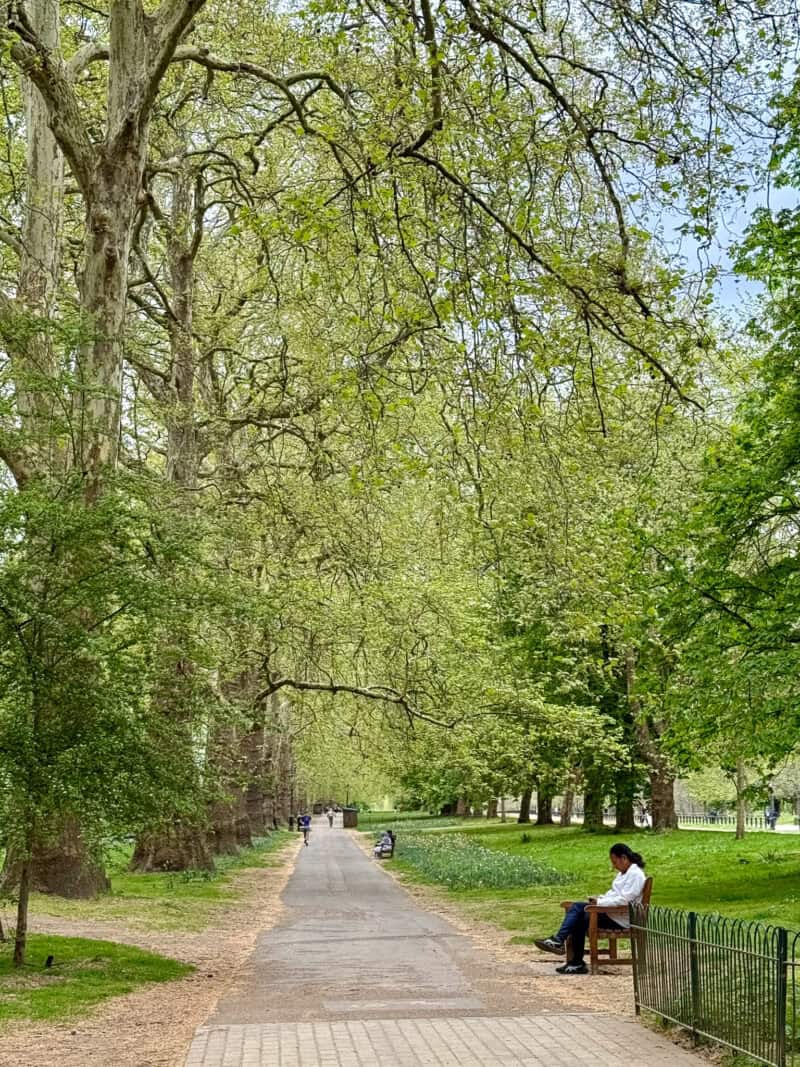 Path in Hyde Park London with new leaves on trees and man seated on bench reading.