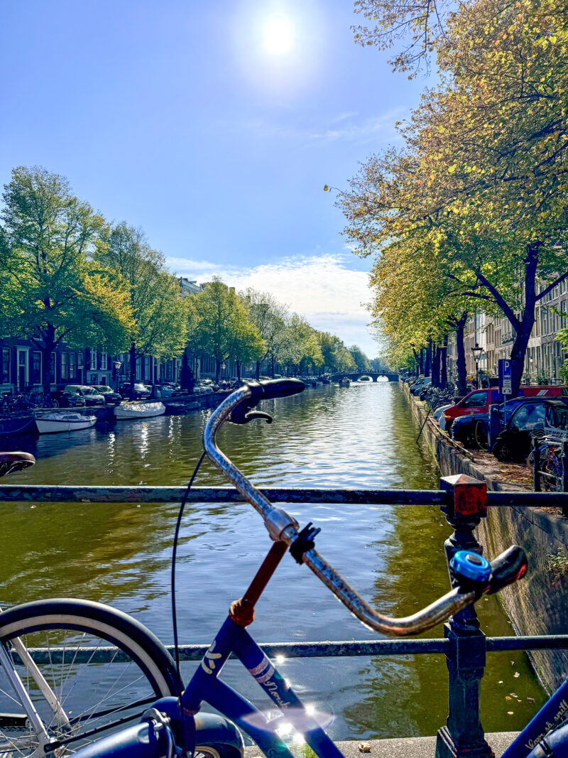 Tree-lined Amsterdam canal on a sunny day with bike and bridge railing in foreground.