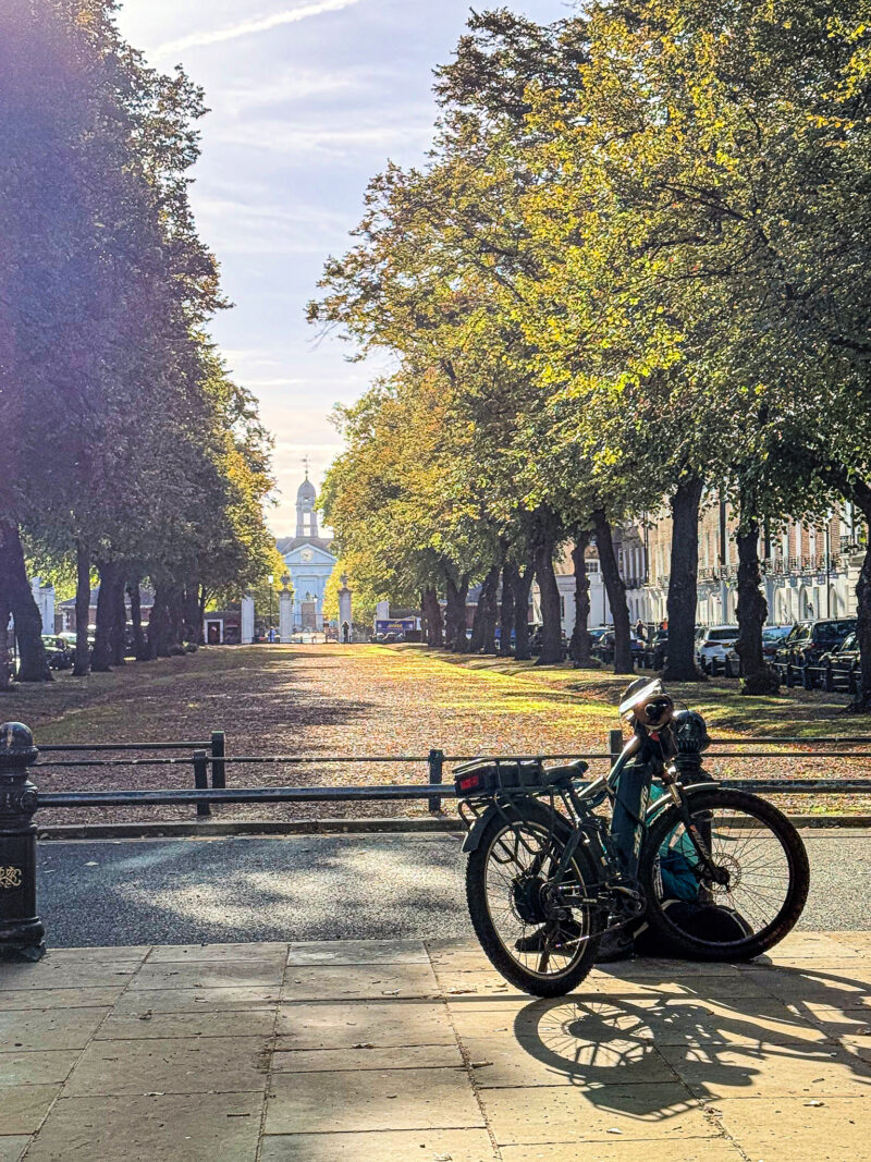 Afternoon light near a tree-lined square in Chelsea, London.