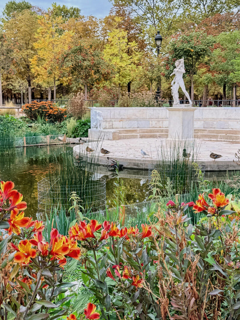 Autumn in the Tuileries, Paris. Ducks hang out near a statue by a pond, with red and yellow flowers in the foreground.
